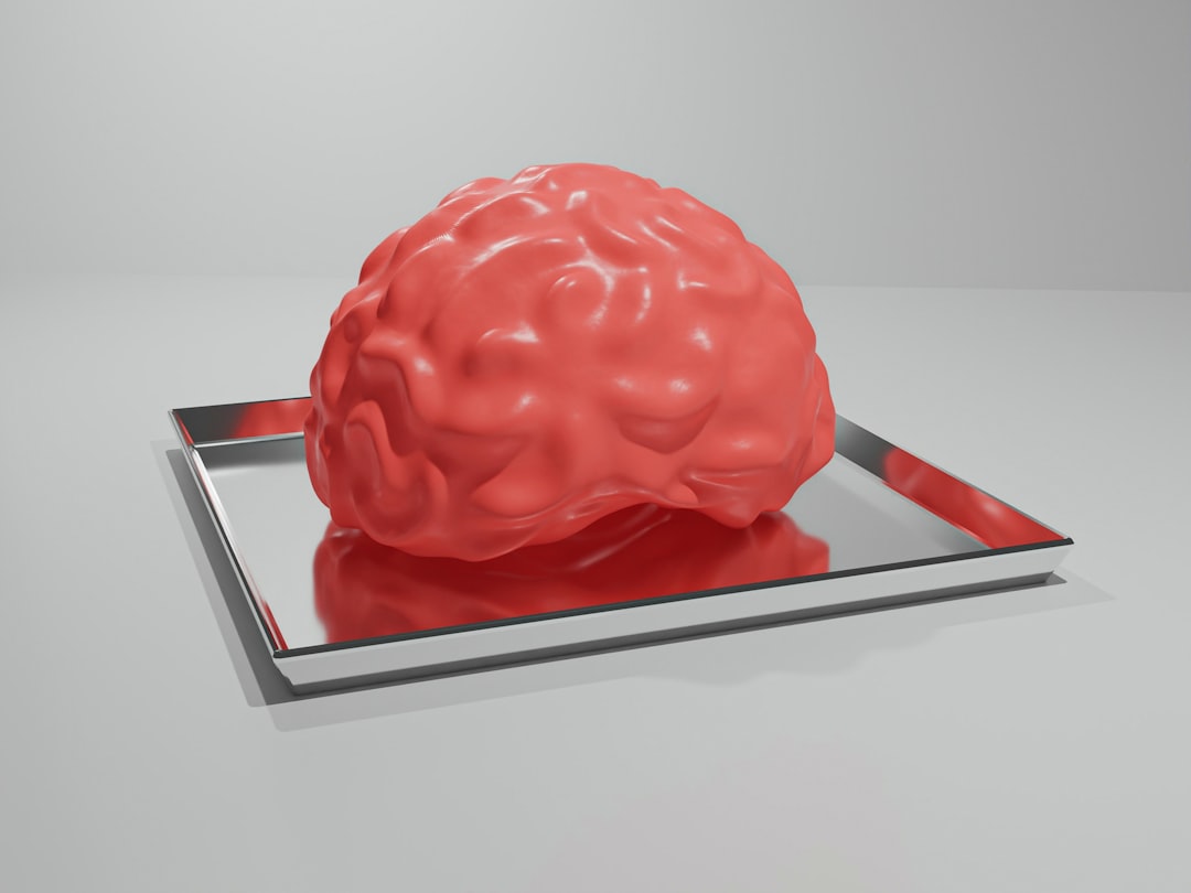 Brain plasticity and memory: what new studies show