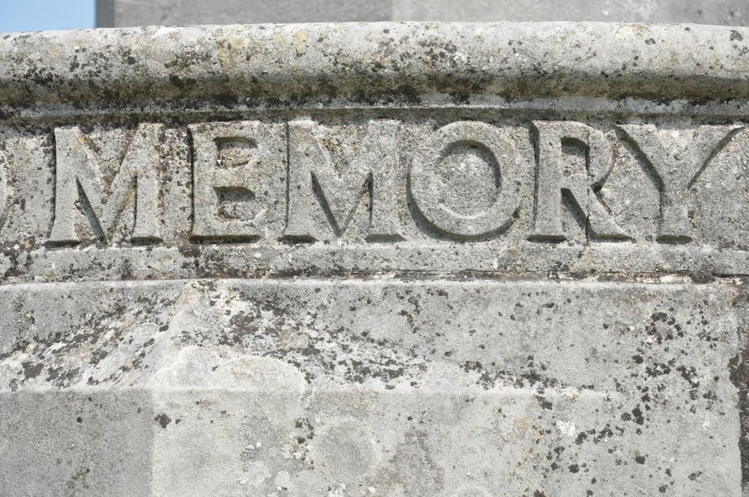 Episodic memory: what is changing in our understanding