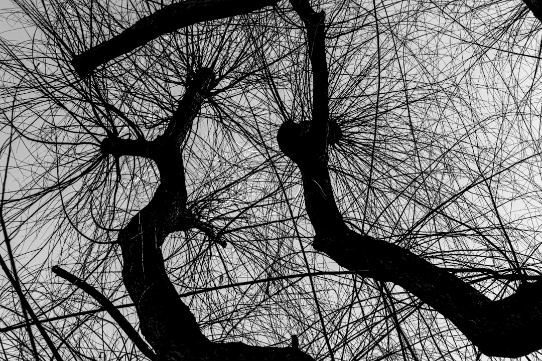 Memory and neuroplasticity: the latest discoveries