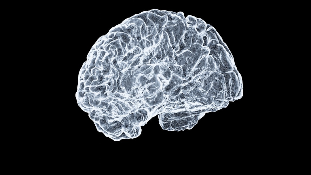 How memories are formed: the latest neuroscience findings