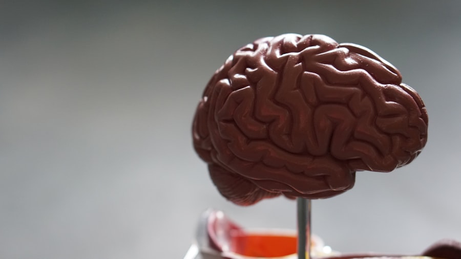 brain exercises