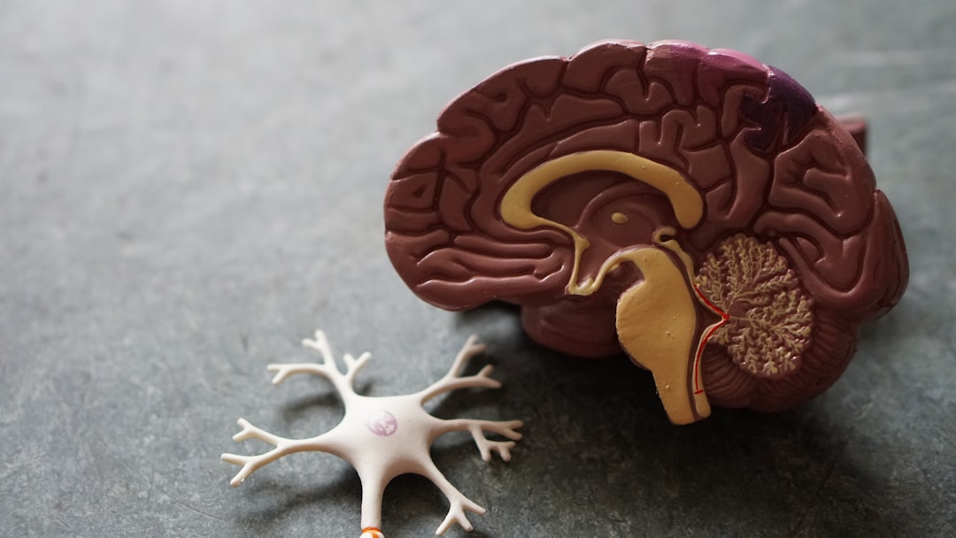 Boost Your Brain: Fun and Effective Exercises