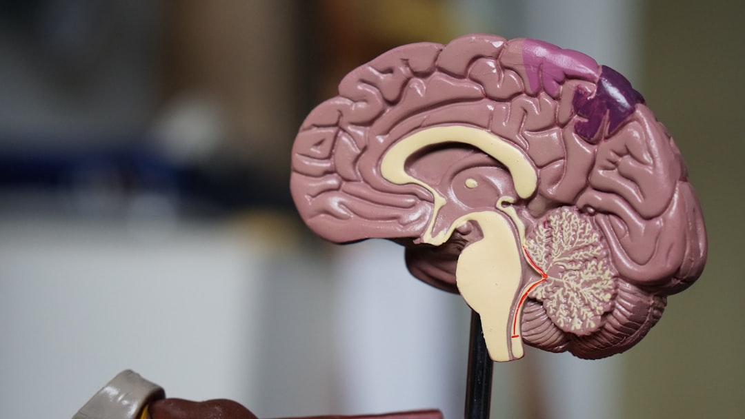 Boost Your Memory with Brain Training