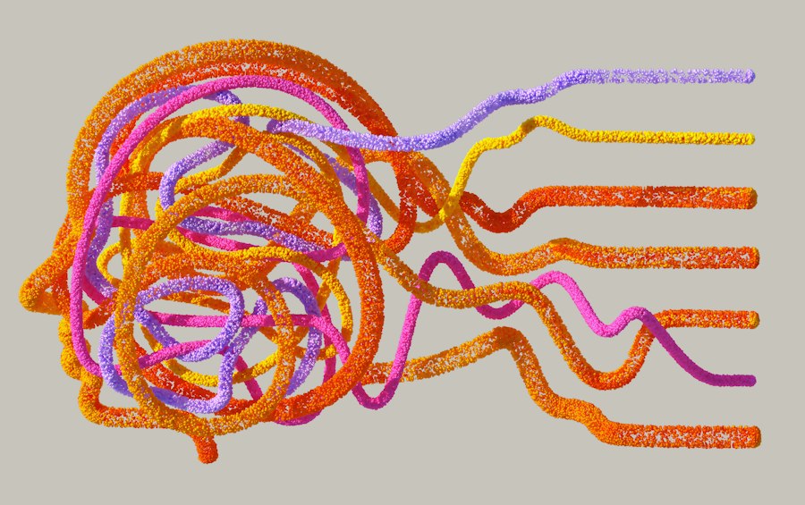 brain editing memory process