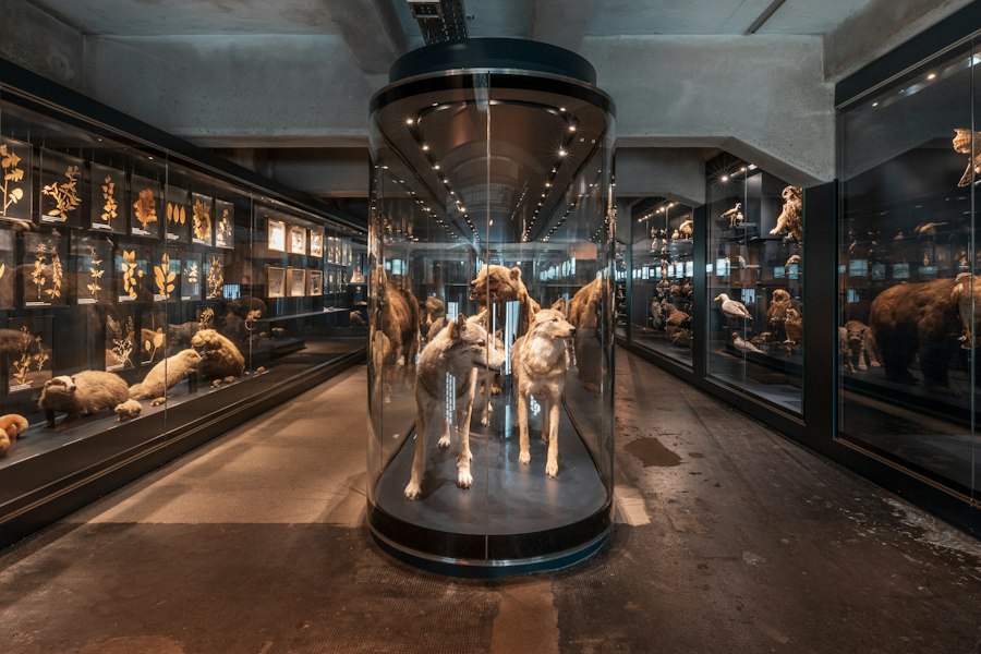 Photo Museum of Forgotten Selves
